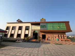 pearl green's - Image 5