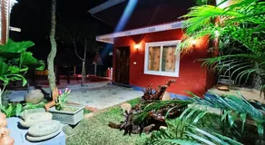 Aranya a wild forest ecostay - Image 4