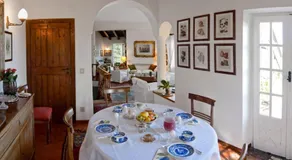 Il Glicine sul Golfo - Image 4