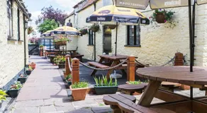 The Swan - Image 5