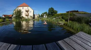 ad vineas Gästehaus Nikolaihof-Hotel Garni - Image 4