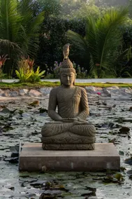 Dvaita Resorts - Image 5