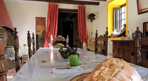 Chilliman & Mas Miró Biofarm - Image 2