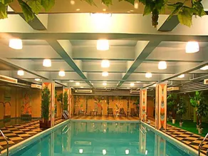 Chongqing Wanyou Conifer Hotel - Image 3