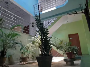 Lalanga Homestay - Image 2