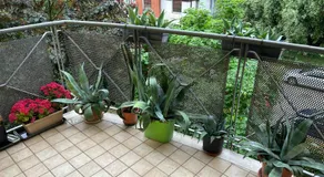 Residence Tevere - Image 4