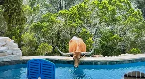 Backwoods BNB - Image 2