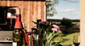 Südhof Döbbrick - Ferienhof für Familienurlaub - Image 3