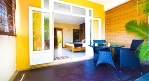 Pingo Studio - Image 3
