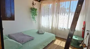 Ecodreamers Curiti - Image 2