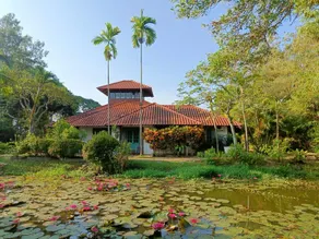 Golden Snapper Guest House - Image 5