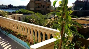 Villa Diletta Luxor - Image 5