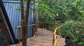 Sudagala Jungle Glamping - Image 3