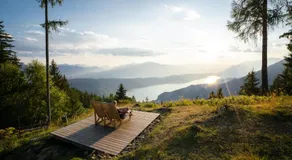 Alpenhof M&E - Image 4