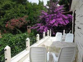 Apartment Danijela A1 Splitska, Island Brac - Image 5