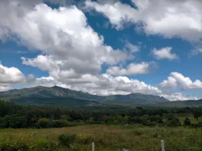 Coffeeberry Hills Chikamagalur - Image 4