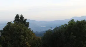 iCAVA - Image 5