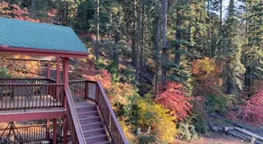 YoBee! Welcome Breakfast and Park Reservations Included! Heart of Yosemite - Homey Studios and Apartments - AC-WiFi-EV - Image 5
