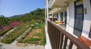 Hoka in Sanyi - Image 3