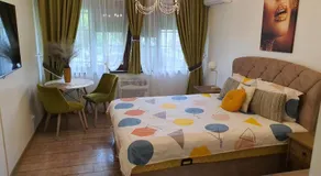 CHIC Studio- Place to Remember - Image 2
