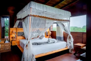 Leopard Nest in Yala - Image 2