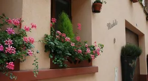 Mirabelle Bed & Breakfast - Image 4