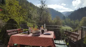 Turistična kmetija Weiss - Image 4