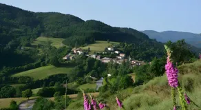 Les Combes Claires - Image 5