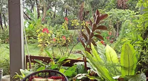 New Garden View GF Double Room FREE parking - Image 4