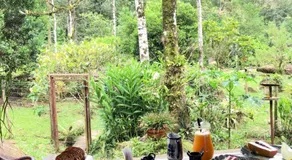 Sitio Namaste Paraty - Image 4