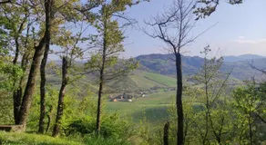 La Pergola In Castell'arquato - Image 5