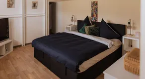 Tinyhaus & Souterrain Apartment in Ortenberg - Image 2