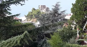 Le ginestre - Image 4