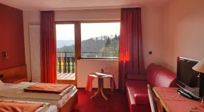 Hotel Waldschenke Fuhr - Image 2