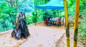 The Magical Tree House - Image 4