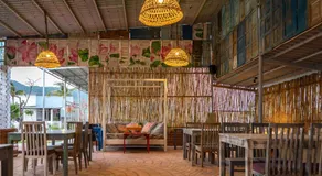 Chilli Fields - Image 4