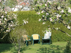 Cozy Apartment with Garden, Barbecue, Bicycle Storage - Image 5