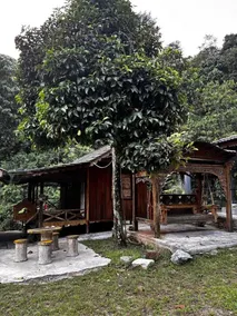 Teratak Mahsuri | Nature Escape with Natural Pool - Image 3