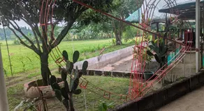 PNAF Farm resort - Image 3