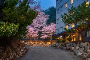 Yeonhwamoon Hotel Yangyang - Image 4