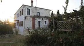 Kokkymelon - Image 3