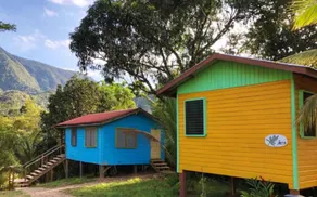 T.R.E.E.S Research Center and Eco Lodge - Image 4