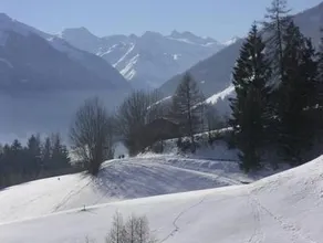 Pension Danler - Image 3