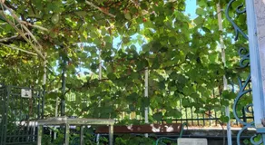 Guest house Sebelj - Image 5