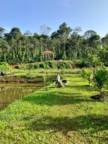 Green Turfs Farmstay- A cozy 2 bedroom cottage - Image 3