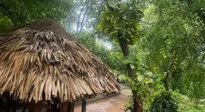 Sradha Farm Stay - Kollengode - Image 4