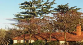 La Fattoria Barbini B&B - Image 5