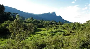 sítio cambará - Image 5