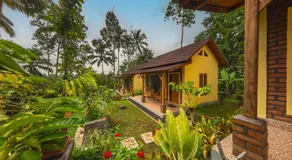 D'Jungle Eco Stay - Image 4