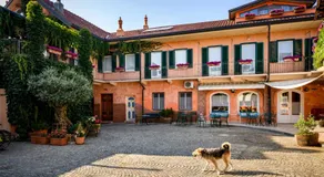 Cantina Anzivino - Affittacamere - Image 4
